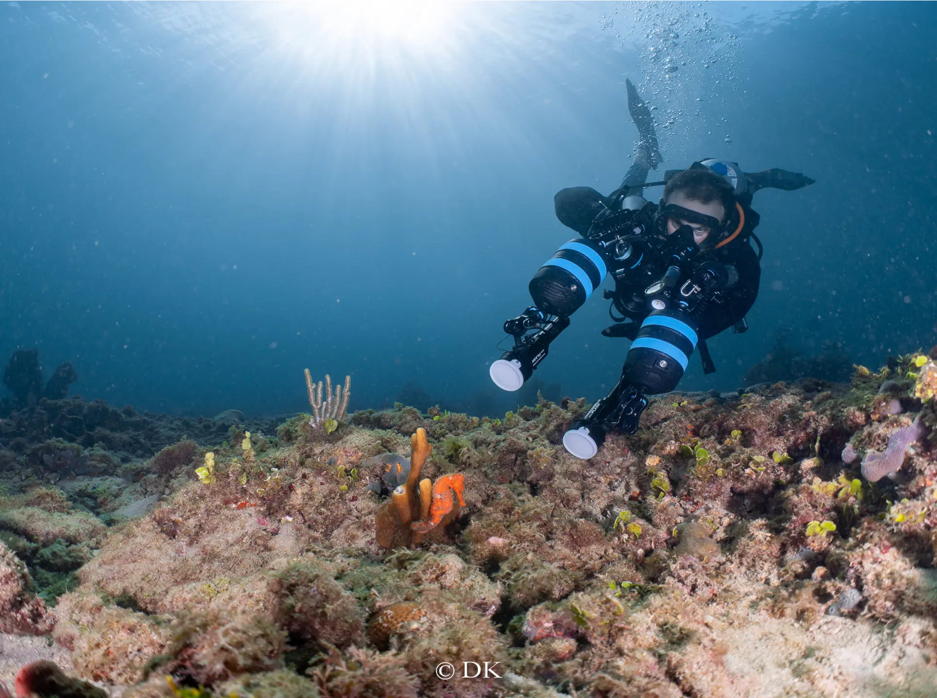 Gabriel Jensen photographing a seahorse on a South Florida reef